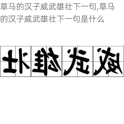 草马的汉子威武雄壮下一句,草马的汉子威武雄壮下一句是什么