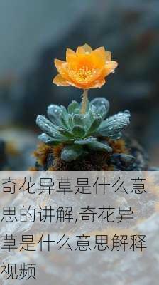 奇花异草是什么意思的讲解,奇花异草是什么意思解释视频