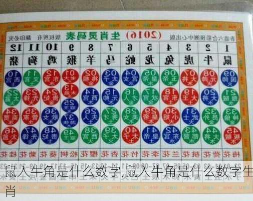 鼠入牛角是什么数字,鼠入牛角是什么数字生肖