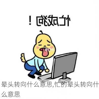 晕头转向什么意思,忙的晕头转向什么意思