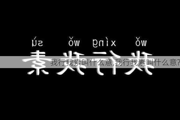 我行我素叫什么意,我行我素叫什么意?