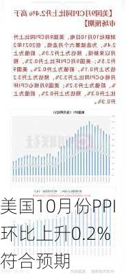 美国10月份PPI环比上升0.2% 符合预期