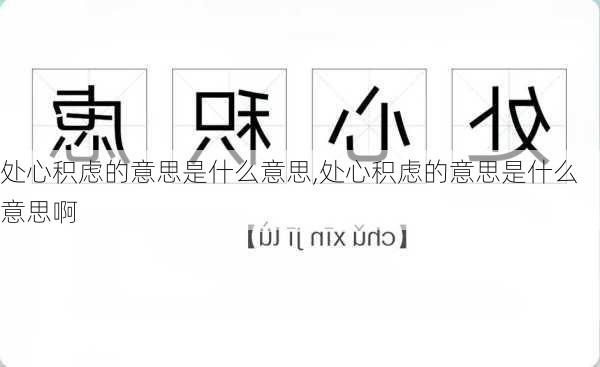 处心积虑的意思是什么意思,处心积虑的意思是什么意思啊