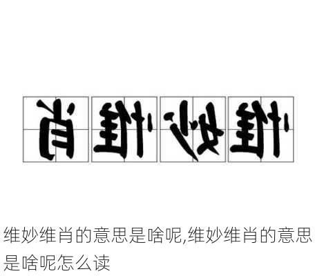 维妙维肖的意思是啥呢,维妙维肖的意思是啥呢怎么读