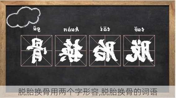 脱胎换骨用两个字形容,脱胎换骨的词语