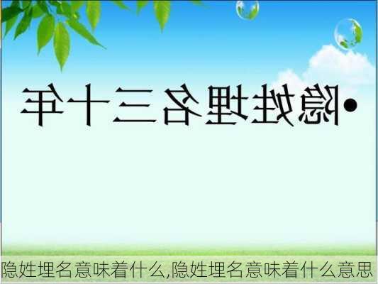 隐姓埋名意味着什么,隐姓埋名意味着什么意思