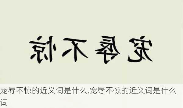 宠辱不惊的近义词是什么,宠辱不惊的近义词是什么词