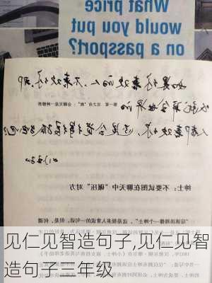 见仁见智造句子,见仁见智造句子三年级