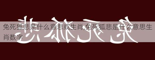 兔死狐悲是什么意思或生肖,兔死狐悲是什么意思生肖数字