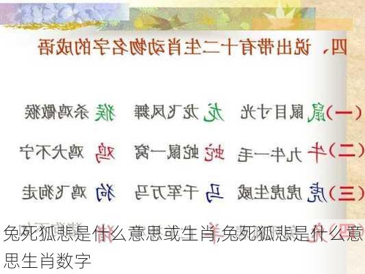 兔死狐悲是什么意思或生肖,兔死狐悲是什么意思生肖数字