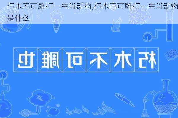 朽木不可雕打一生肖动物,朽木不可雕打一生肖动物是什么