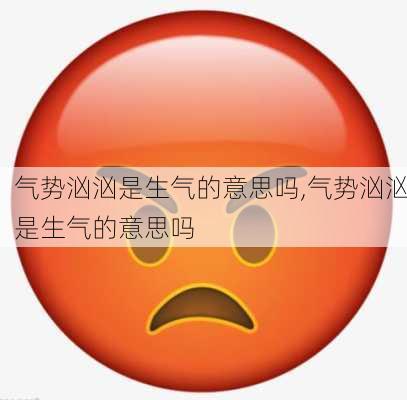 气势汹汹是生气的意思吗,气势汹汹是生气的意思吗