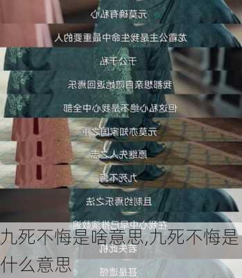 九死不悔是啥意思,九死不悔是什么意思