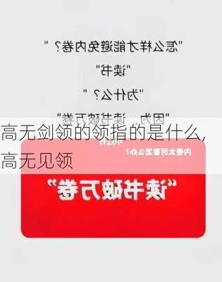 高无剑领的领指的是什么,高无见领