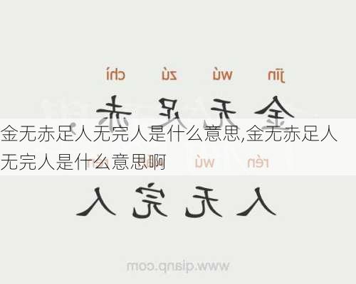 金无赤足人无完人是什么意思,金无赤足人无完人是什么意思啊