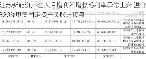 江苏新能资产注入后增利不增收毛利率异常上升 溢价320%甩卖固定资产关联方接盘